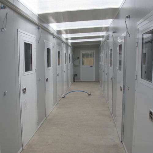 commercial kennels